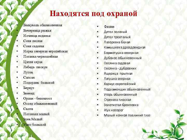Находятся под охраной • • • • • Выхухоль обыкновенная Вечерница рыжая Ночница водяная
