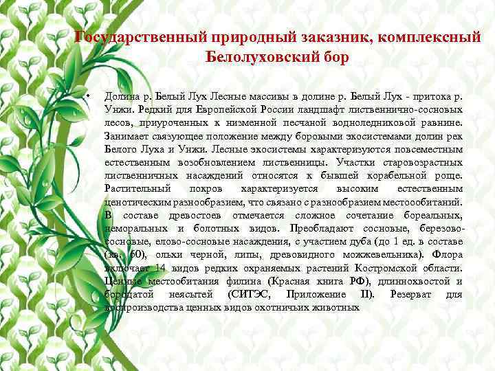 Государственный природный заказник, комплексный Белолуховский бор • Долина р. Белый Лух Лесные массивы в