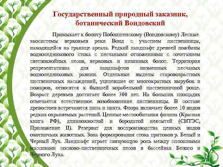 Государственный природный заказник, ботанический Вондовский Примыкает к болоту Побоишенскому (Вондовскому) Лесные экосистемы верховьев реки