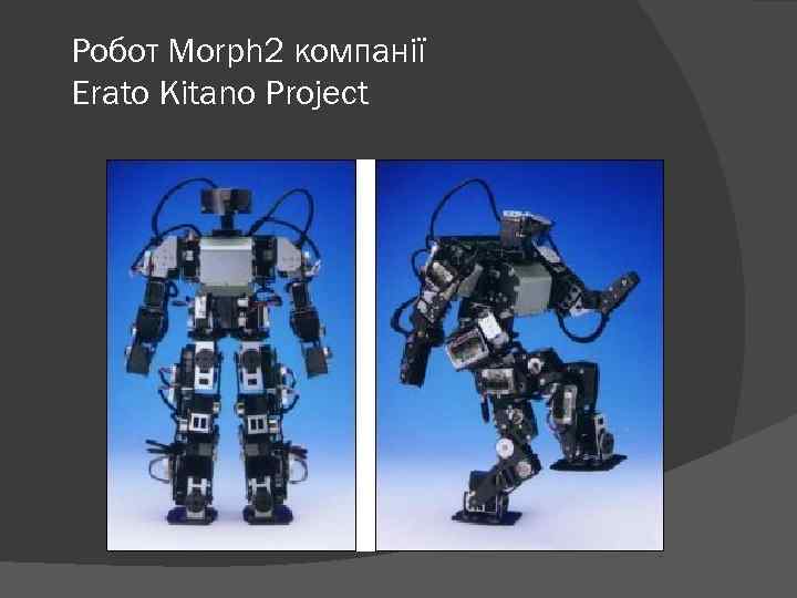 Робот Morph 2 компанії Erato Kitano Project 