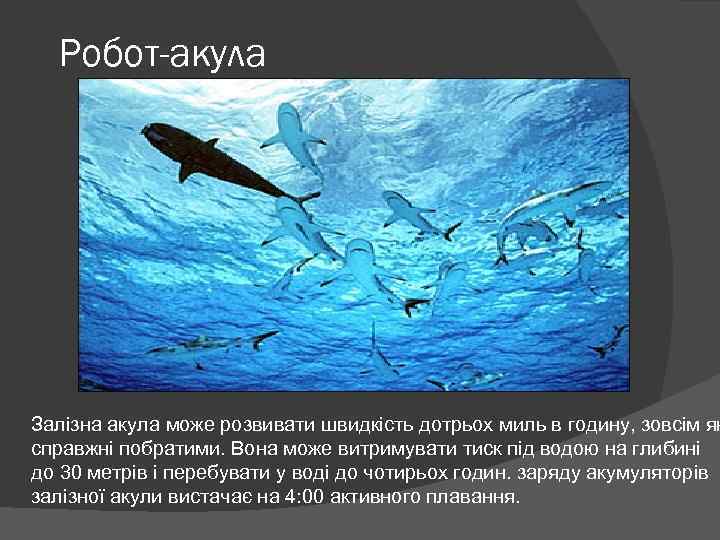 Робот-акула Залізна акула може розвивати швидкість дотрьох миль в годину, зовсім як справжні побратими.