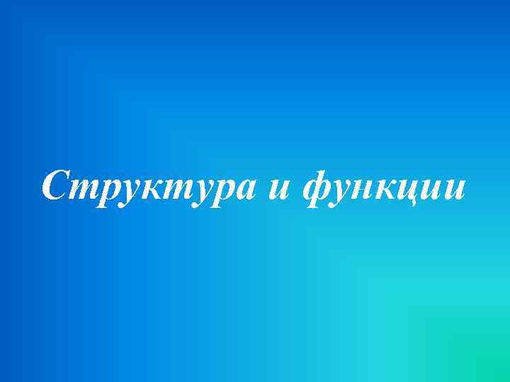 Структура и функции 
