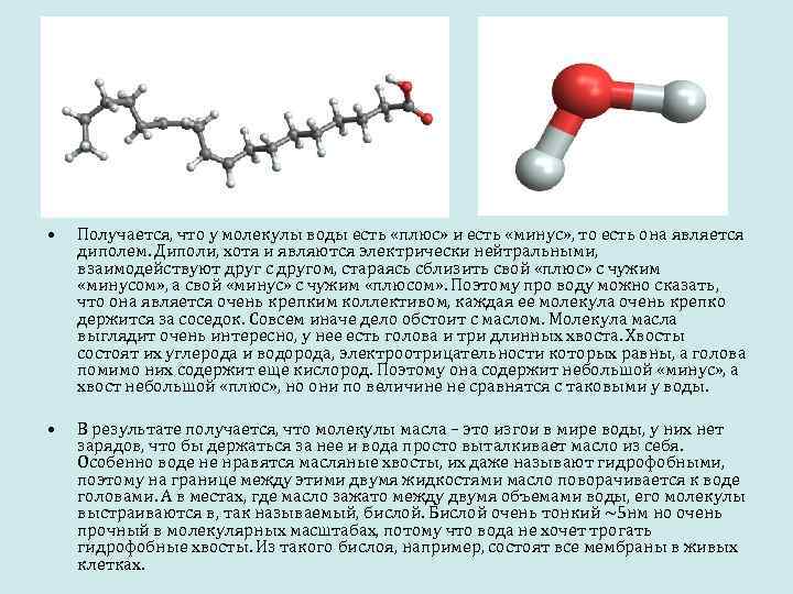  • • Получается, что у молекулы воды есть «плюс» и есть «минус» ,