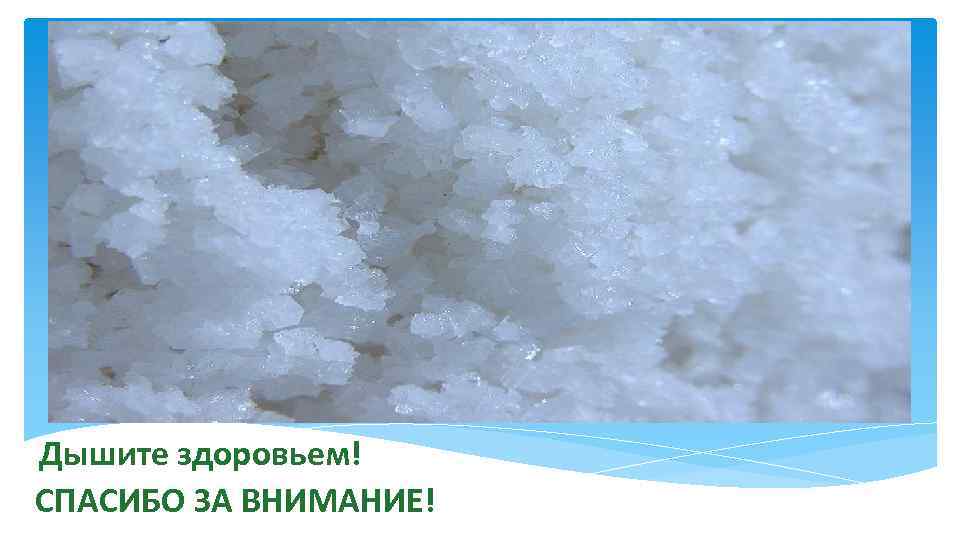 Дышите здоровьем! СПАСИБО ЗА ВНИМАНИЕ! 