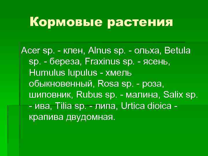 Кормовые растения Acer sp. - клен, Alnus sp. - ольха, Betula sp. - береза,