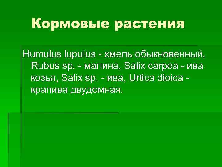 Кормовые растения Humulus lupulus - хмель обыкновенный, Rubus sp. - малина, Salix carpea -