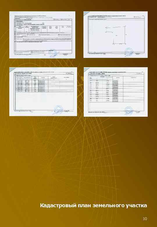 Кадастровый план земельного участка 10 