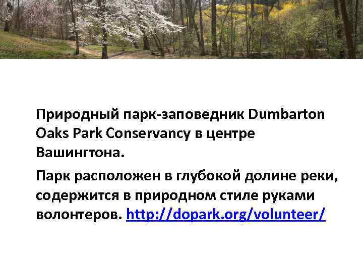 Природный парк-заповедник Dumbarton Oaks Park Conservancy в центре Вашингтона. Парк расположен в глубокой долине