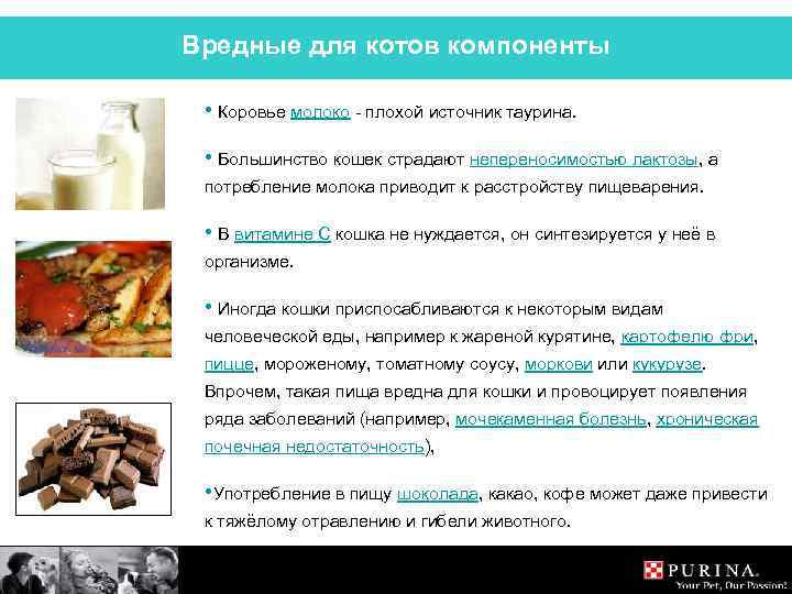 Вредные для котов компоненты • Коровье молоко - плохой источник таурина. • Большинство кошек