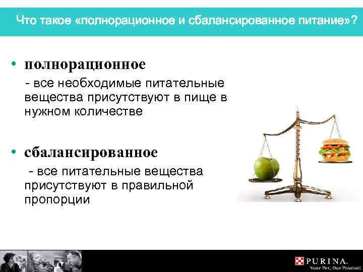 Что такое «полнорационное и сбалансированное питание» ? • полнорационное - все необходимые питательные вещества