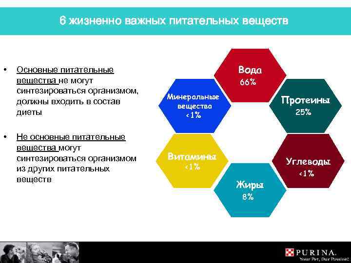 6 жизненно важных питательных веществ • • Основные питательные вещества не могут синтезироваться организмом,