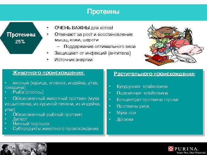 Протеины • • 25% • • ОЧЕНЬ ВАЖНЫ для котов! Отвечают за рост и