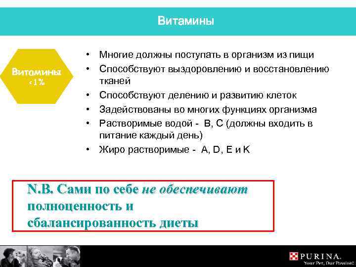 Витамины <1% • Многие должны поступать в организм из пищи • Способствуют выздоровлению и