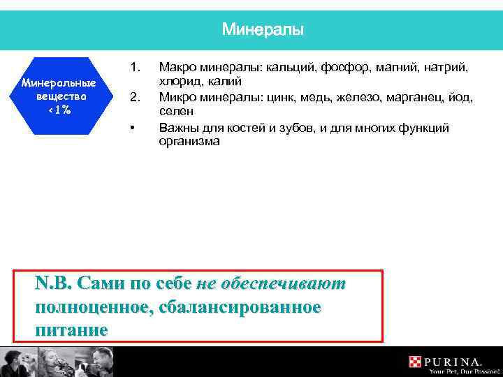 Минералы 1. Минеральные вещества <1% 2. • Макро минералы: кальций, фосфор, магний, натрий, хлорид,