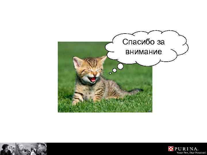 Спасибо за внимание 