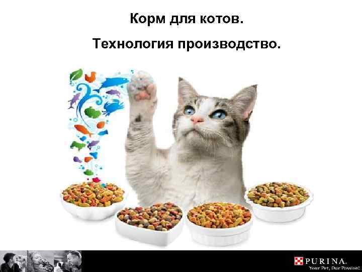 Корм для котов. Технология производство. 