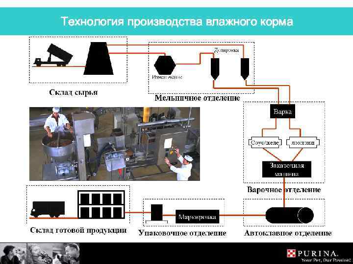 Технология производства влажного корма 