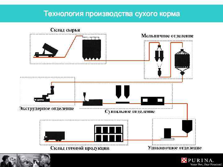 Технология производства сухого корма 