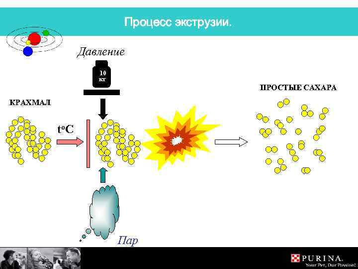 Процесс экструзии. Давление 10 кг ПРОСТЫЕ САХАРА КРАХМАЛ to. C Пар 