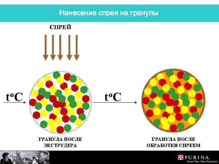 Нанесение спрея на гранулы СПРЕЙ to. C ГРАНУЛА ПОСЛЕ ЭКСТРУДЕРА ГРАНУЛА ПОСЛЕ ОБРАБОТКИ СПРЕЕМ