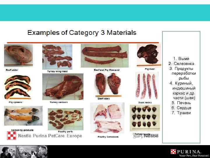1. Вымя 2. Селезенка 3. Продукты переработки рыбы 4. Куриный, индюшиный каркас и др.