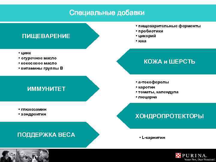 Специальные добавки ПИЩЕВАРЕНИЕ • цинк • огуречное масло • кокосовое масло • витамины группы