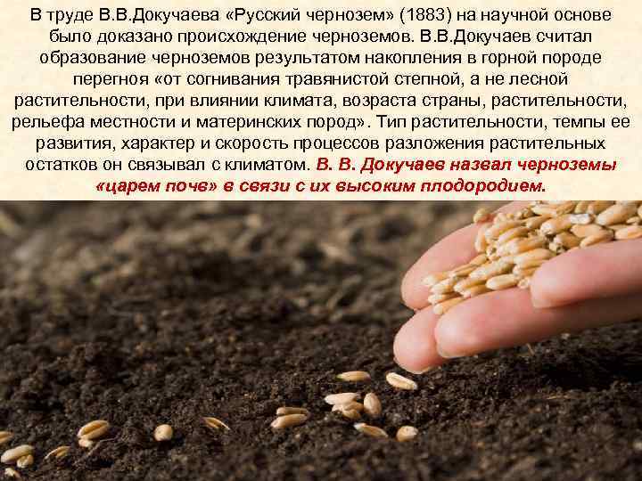 В труде В. В. Докучаева «Русский чернозем» (1883) на научной основе было доказано происхождение