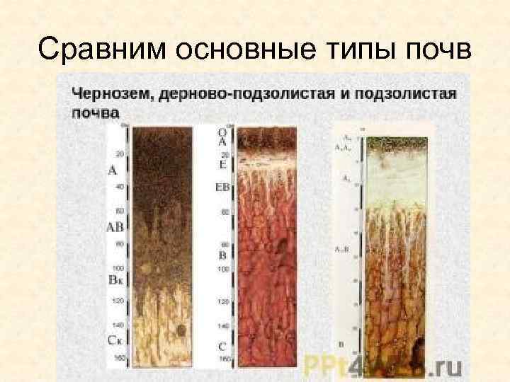 Типы почв казахстана презентация