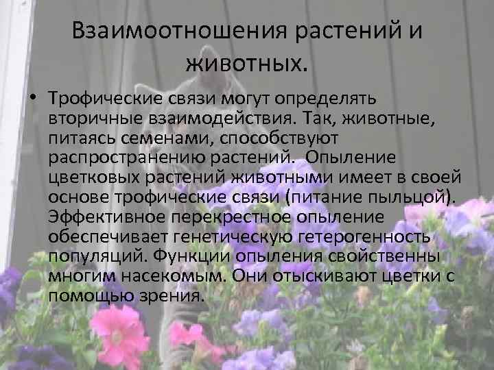 Взаимосвязь цветок и второго столбцов. Взаимоотношение животных и растений. Взаимодействие растений и животных. Взаимосвязь растений и животных. Взаимоотношение растений.