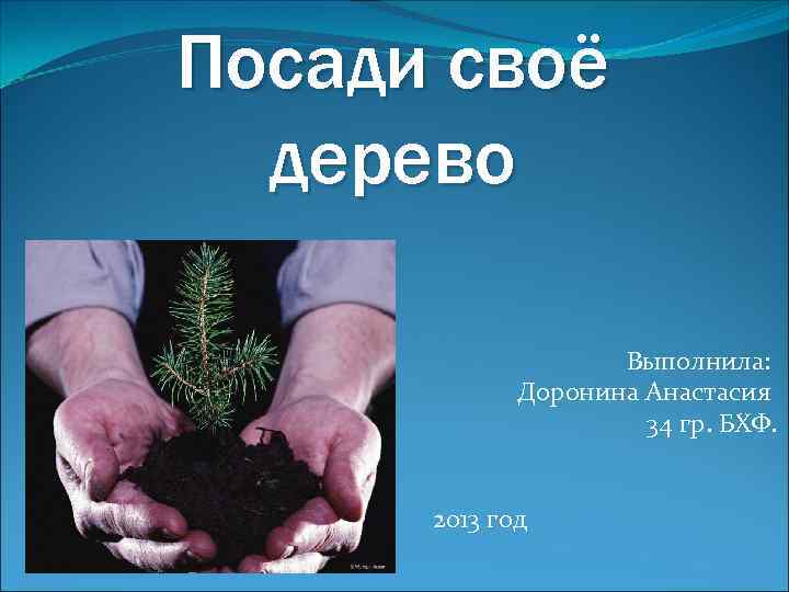 Посади своё дерево Выполнила: Доронина Анастасия 34 гр. БХФ. 2013 год 