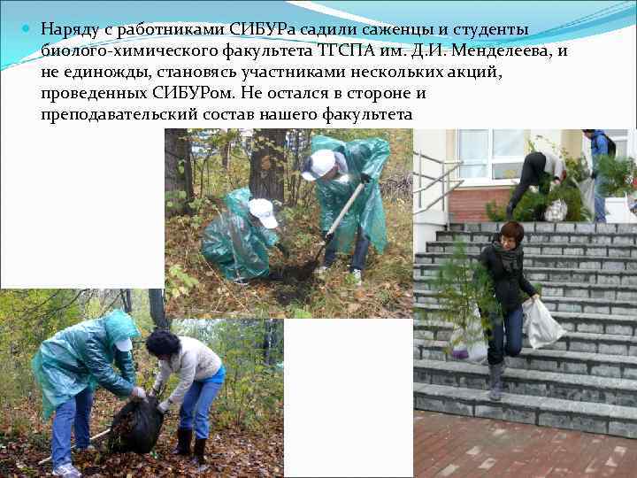  Наряду с работниками СИБУРа садили саженцы и студенты биолого-химического факультета ТГСПА им. Д.