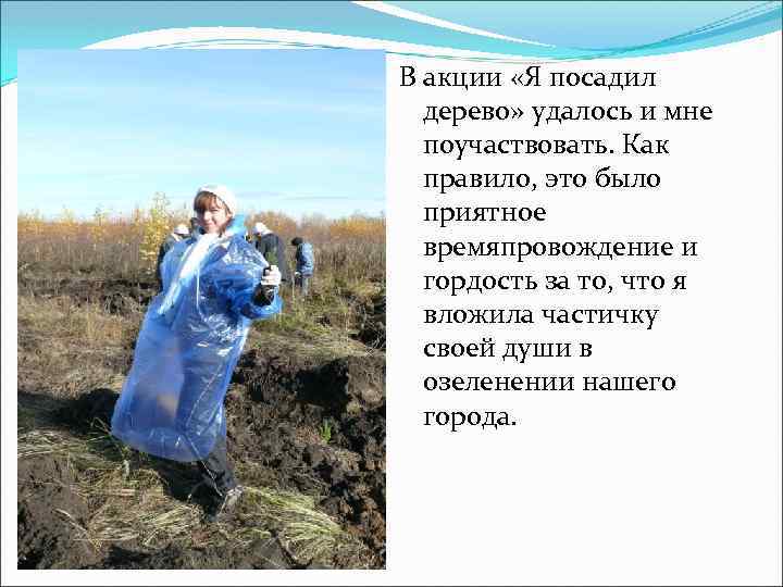 В акции «Я посадил дерево» удалось и мне поучаствовать. Как правило, это было приятное