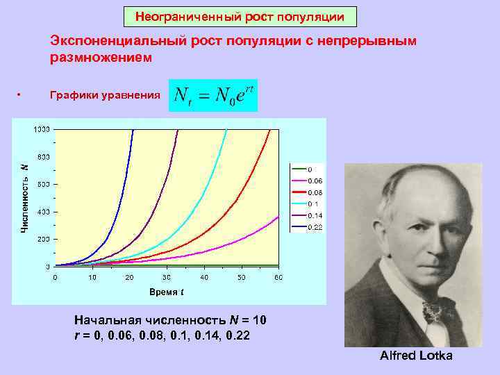 Рост популяции. График экспоненциального роста популяции. Непрерывный рост популяции график. Уравнение экспоненциального роста популяции. Экспоненциальный рост популяции.