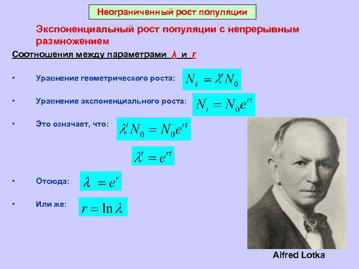 Неограниченный рост популяции Экспоненциальный рост популяции с непрерывным размножением Соотношения между параметрами λ и