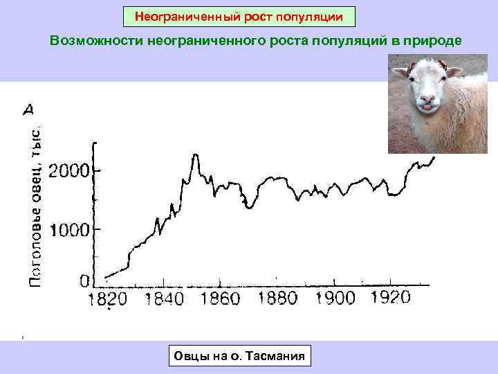 Неограниченный рост. Неограниченный рост численности популяции. Норма адаптивной реакции. Адаптивные возможности популяции. Неограниченный рост численности популяции сдерживается.