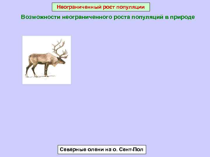 Неограниченный рост популяции Возможности неограниченного роста популяций в природе Северные олени на о. Сент-Пол