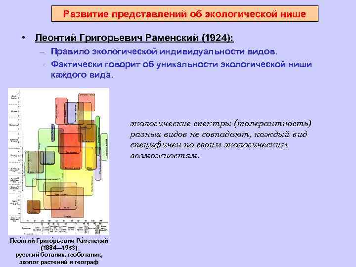 Развитие представлений об экологической нише • Леонтий Григорьевич Раменский (1924): – Правило экологической индивидуальности