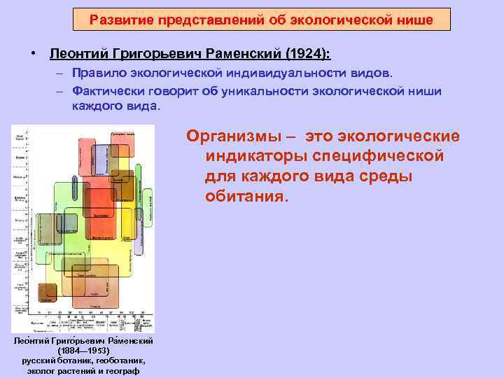 Развитие представлений об экологической нише • Леонтий Григорьевич Раменский (1924): – Правило экологической индивидуальности