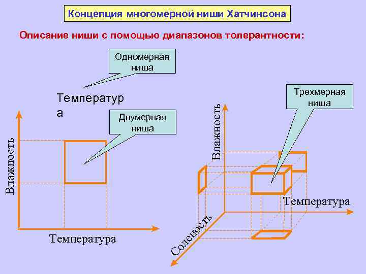 Концепция многомерной ниши Хатчинсона Описание ниши с помощью диапазонов толерантности: Одномерная ниша Влажность Температур