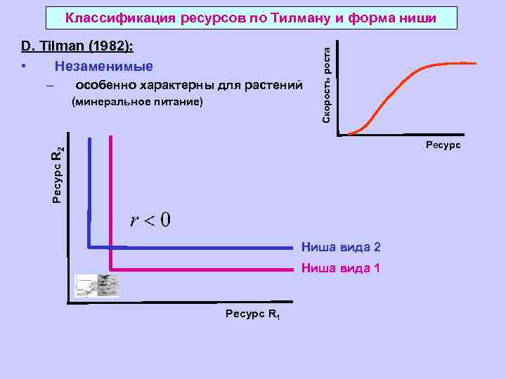 D. Tilman (1982): • Незаменимые – особенно характерны для растений (минеральное питание) Скорость роста