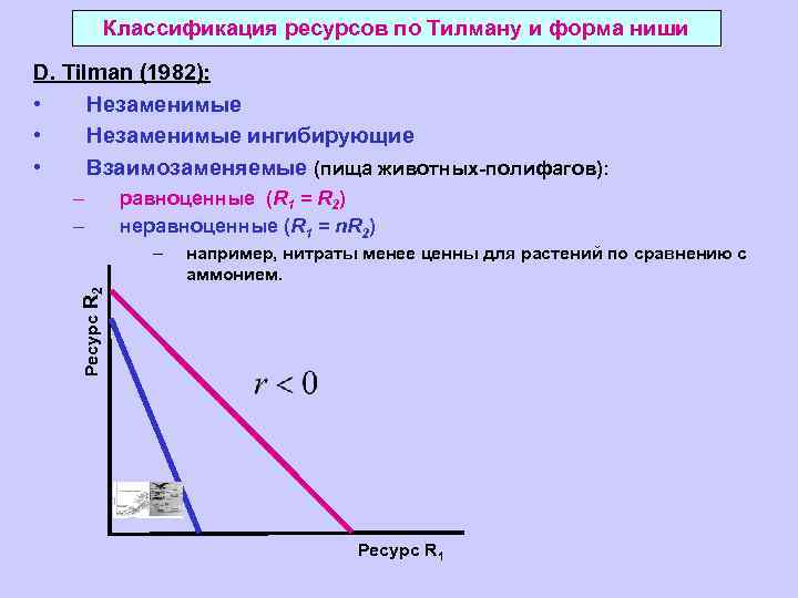 Классификация ресурсов по Тилману и форма ниши D. Tilman (1982): • Незаменимые ингибирующие •