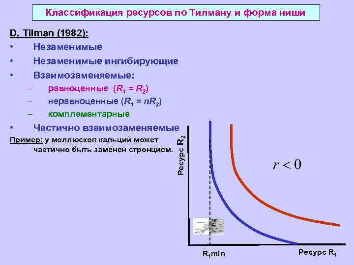Классификация ресурсов по Тилману и форма ниши D. Tilman (1982): • Незаменимые ингибирующие •