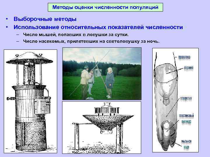 Методы оценки численности популяций • Выборочные методы • Использование относительных показателей численности – Число