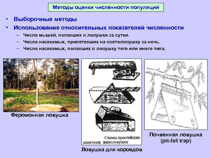 Методы оценки численности популяций • Выборочные методы • Использование относительных показателей численности – Число