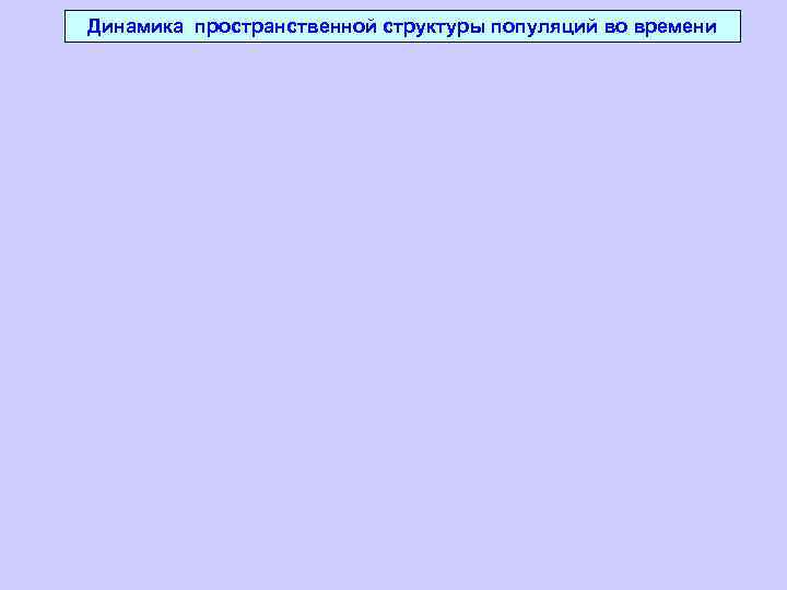 Динамика пространственной структуры популяций во времени 