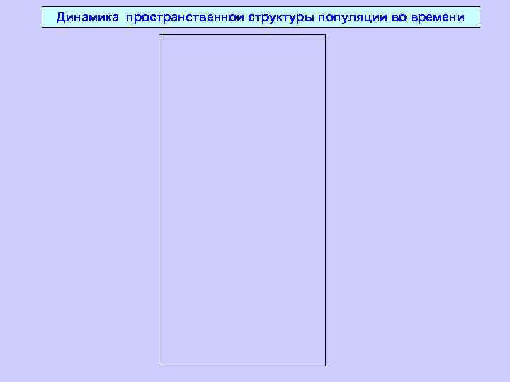 Динамика пространственной структуры популяций во времени 