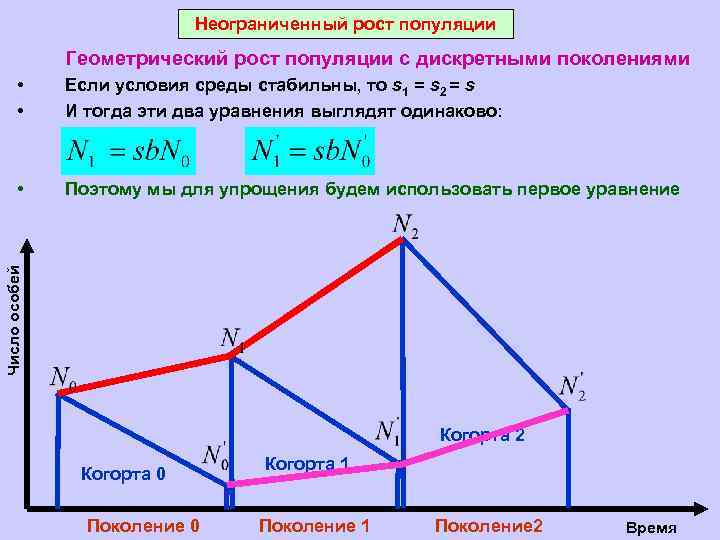 Неограниченный рост популяции Геометрический рост популяции с дискретными поколениями Если условия среды стабильны, то