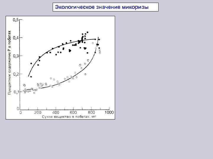 Экологическое значение микоризы 