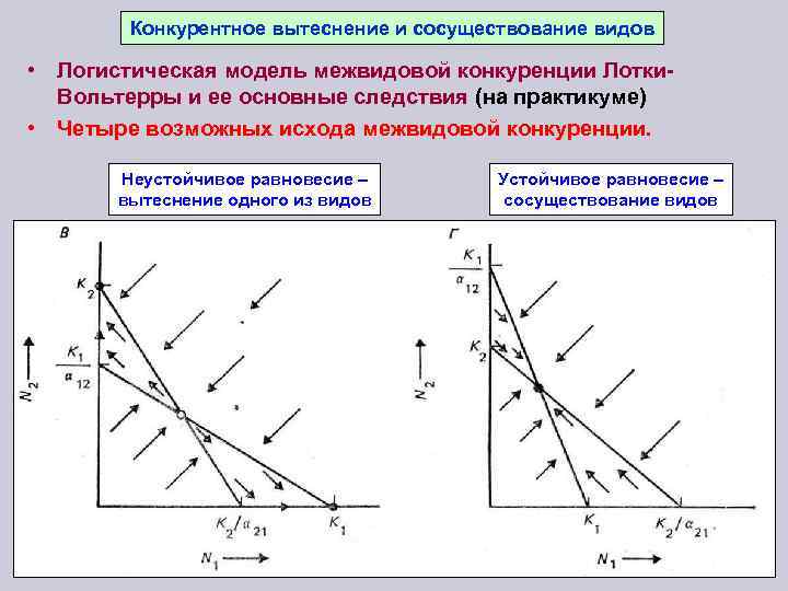 Внутривидовая конкуренция картинки