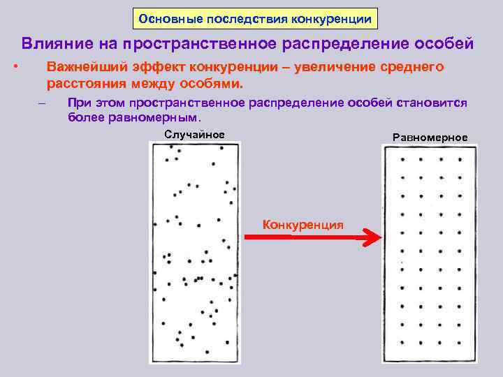 Примеры особей